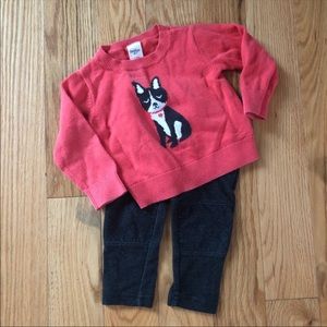 Boston Terrier Sweater with Moto Jeggings